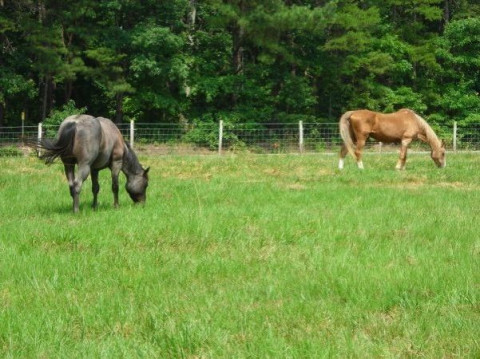 Visit Silvercrown Farms