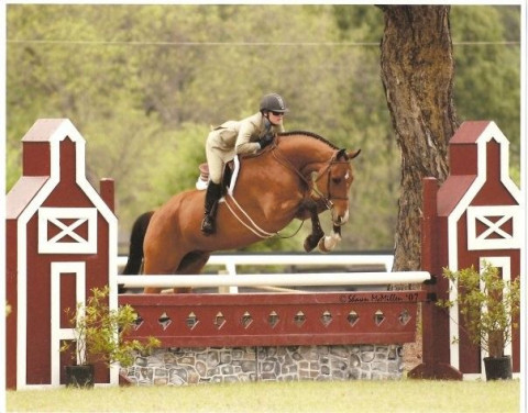 Visit Camden Hunter Barn