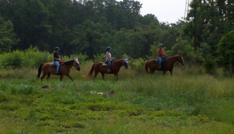 Visit The Happy Horse, LLC
