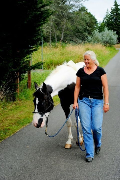 Visit Hoofbeats farms Snohomish