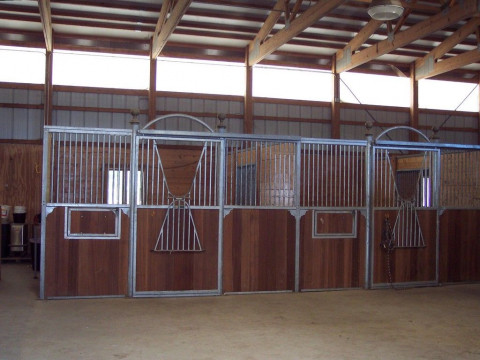 Visit Silver Lining Stables