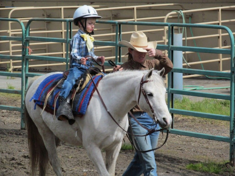 Visit Salmon River Welsh Ponies