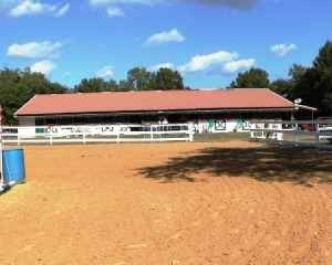 Visit EQUESTRIAN QUEST TRAINING PARK