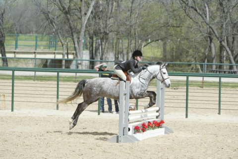 Visit Gold Star Equestiran LLC