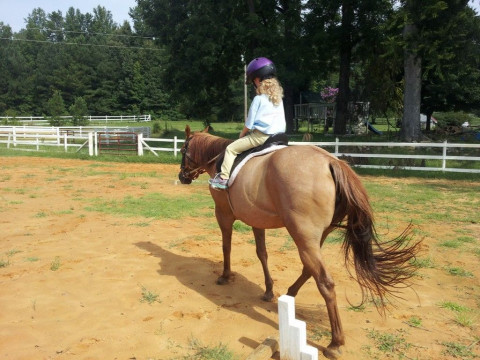 Visit Firefly Farm and Riding School