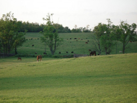 Visit Bittersweet Acres Farm