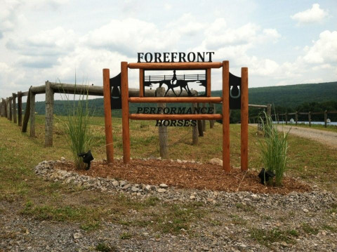 Visit Forefront Performance Horses