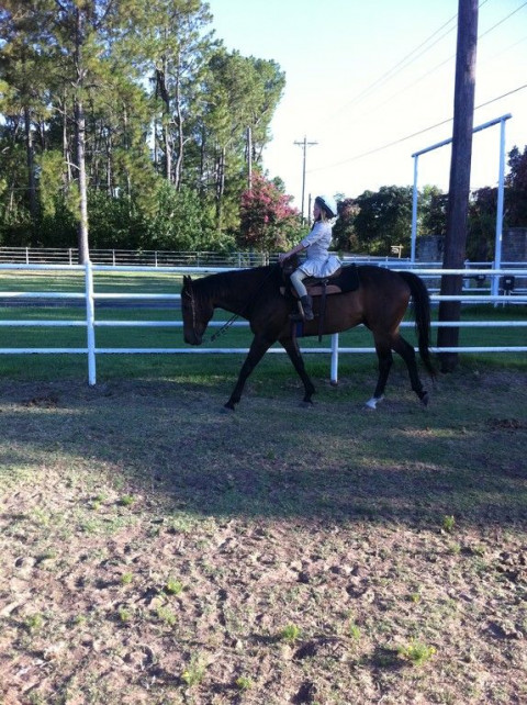 Horseback Riding In Flower Mound Texas Denton County [ 642 x 480 Pixel ]
