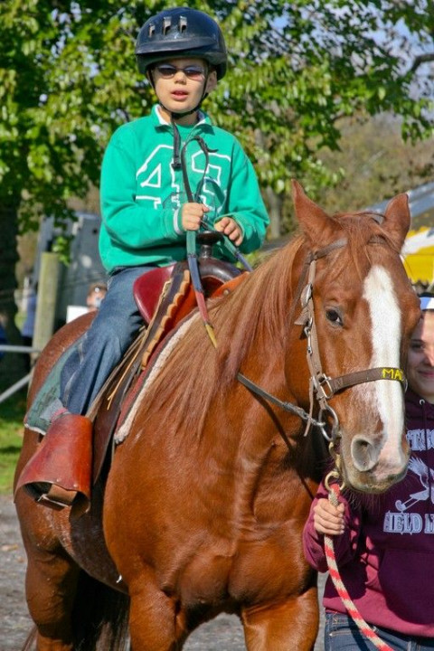 Visit Shady Hollow Assisted Riding