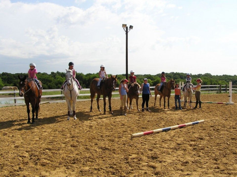 Visit Colonial Equestrian Center's English Horseback Riding Camp