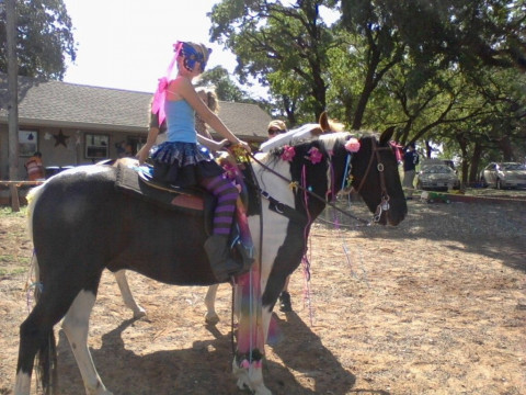 Visit Silver Spurs Riding School