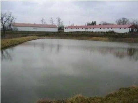 Visit Dressage KY