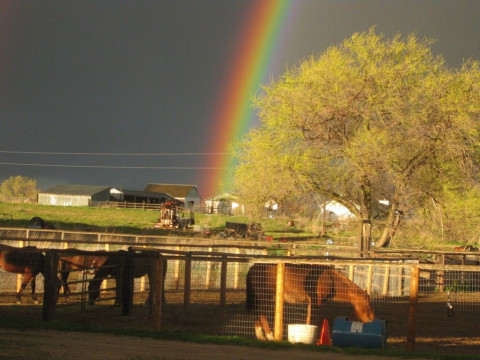 Visit Serenity Stables & Event Facility NAMPA ID