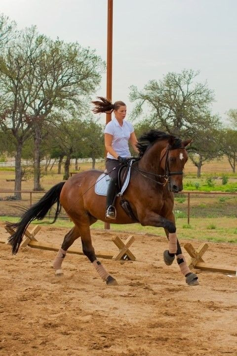 Visit Gentle Creek Equestrian Center