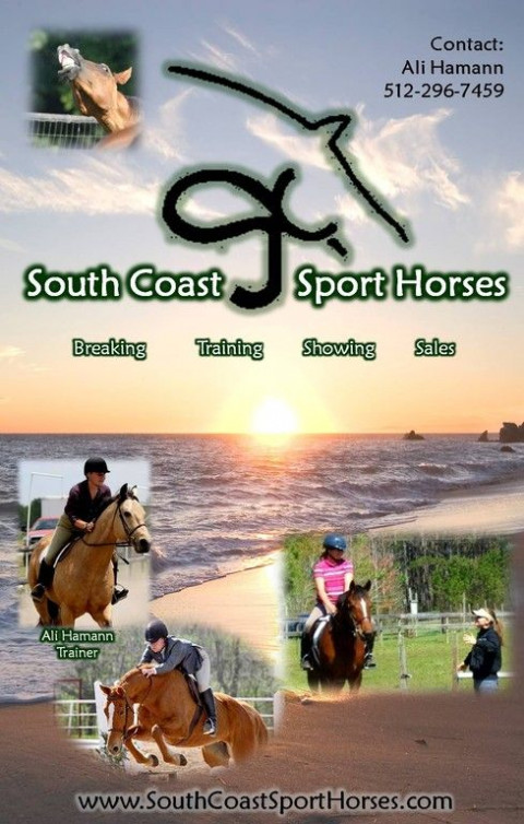 Visit South Coast Sport & Performance Horses