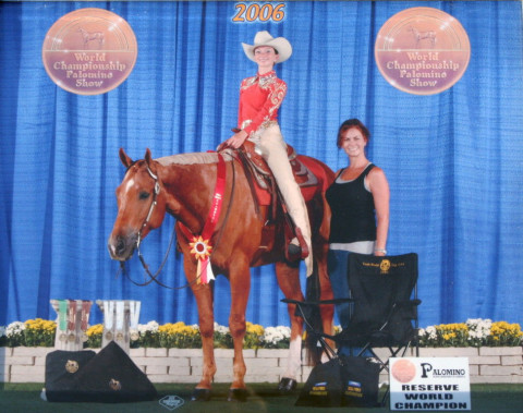 Visit Morton Show Horses