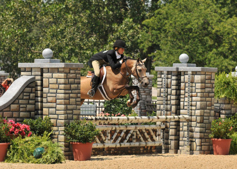 Visit Timbercreek Stables, LLC