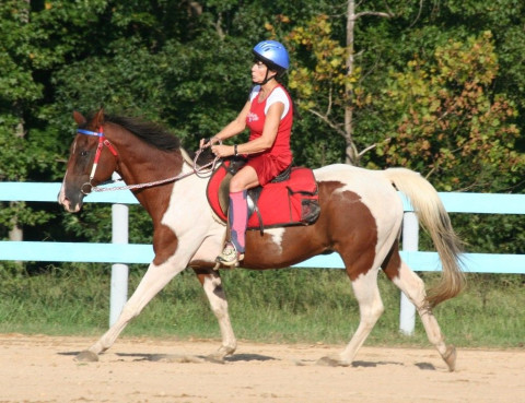 Horseback Riding In Greensboro North Carolina Guilford County