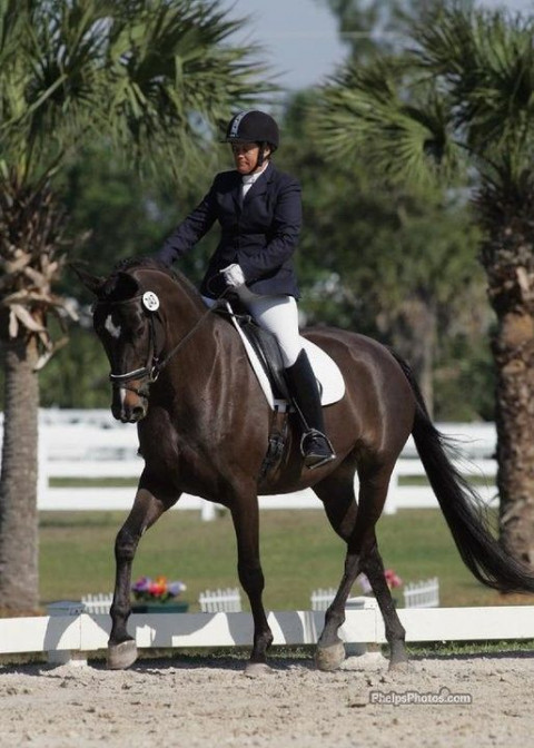 Visit Meg Hilly, Dressage Instructor