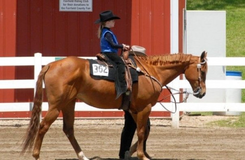Visit Hold Your Horses Stable