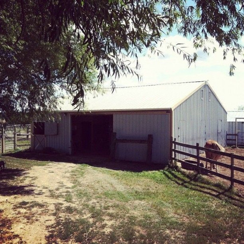 Visit Knoll Ridge Stable