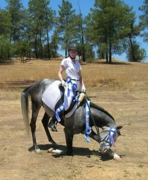 Visit DreamCatcher Equestrian