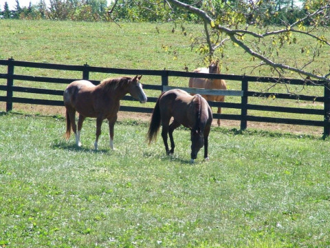 Visit underhill farm