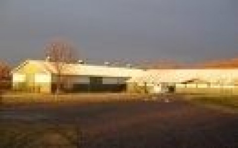 Visit Deer Run Stables
