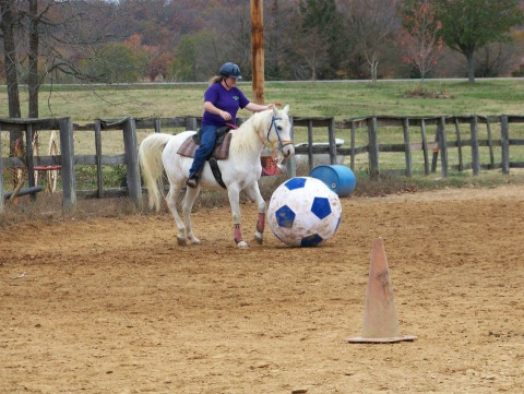 Visit Longbranch Stables