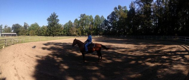 Visit North Hills Stables Horse Boarding