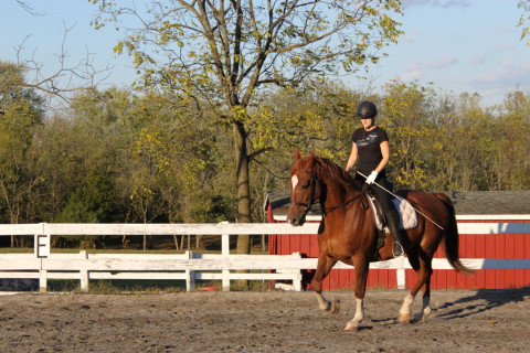 Visit Simple Gifts Farm Equestrian School