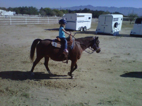 Visit KNJ Therapeutic Riding