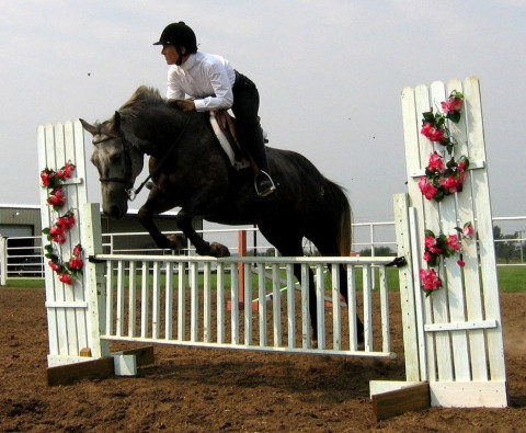 Visit Double "J" Ranch Performance Horses