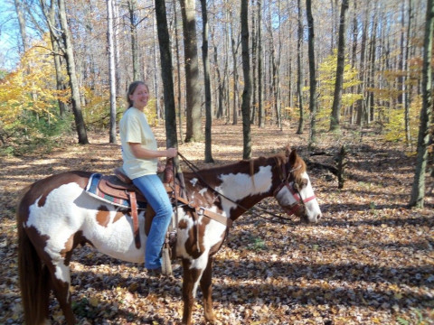 Visit LR Horse Training and Lessons