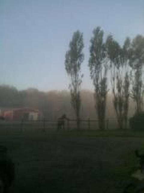 Visit Edgewood Stables