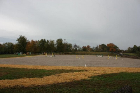 The Farm at Windy Knoll - Horse Boarding Farm in Lexington 