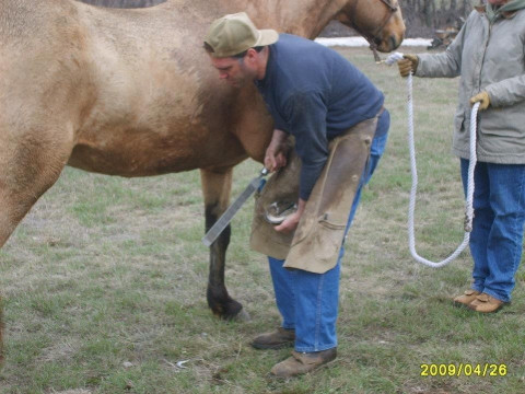 Visit Rod Johnson Horseshoeing