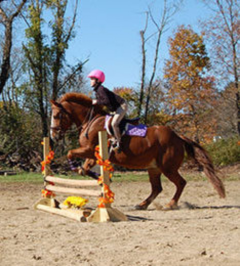 Visit Grandview Farms Equestrian Center