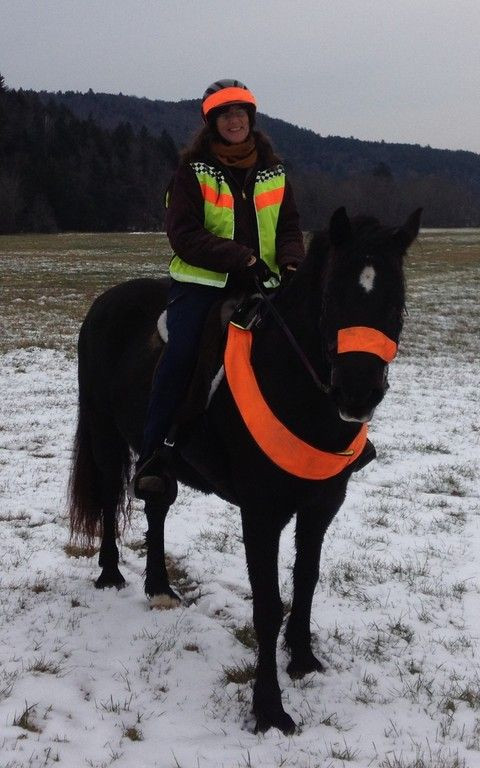 Visit Safe Riders Gear