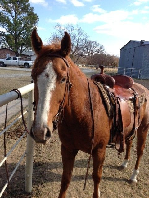 Visit Quail Run Stables