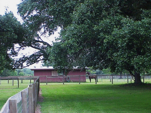 Visit Faraway Farm