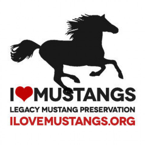 Visit Legacy's American Mustang Academy