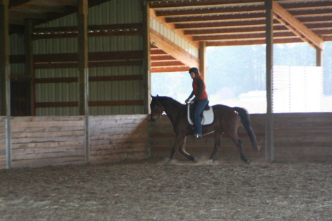 Visit Hooves and Hands Equine Education