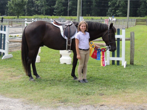 Visit Molly Snyder, Big Leaps Equestrian