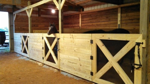 Visit Pantheon Acres Arabians