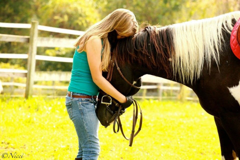 Visit Healing With Horses at WildRose Horse Farm, Inc. LEE A TERRY - Lead Instructor