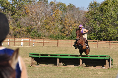 Visit Jayne Lloyd BHSII owner of Snowdonia Farms Equestrian Center