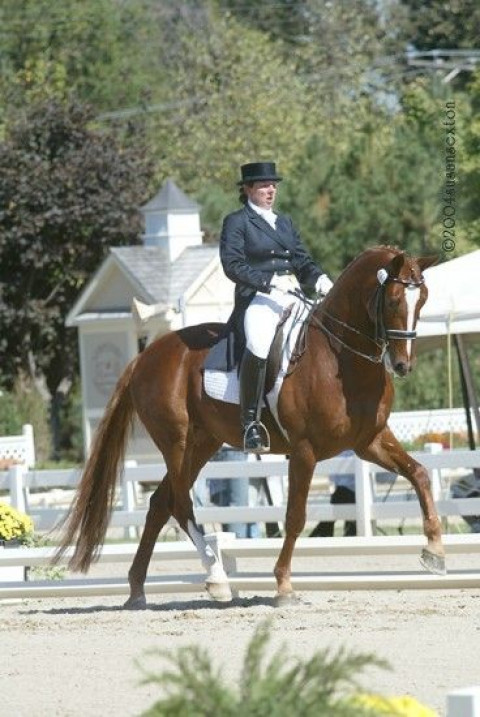 Visit Wintergreen Farm