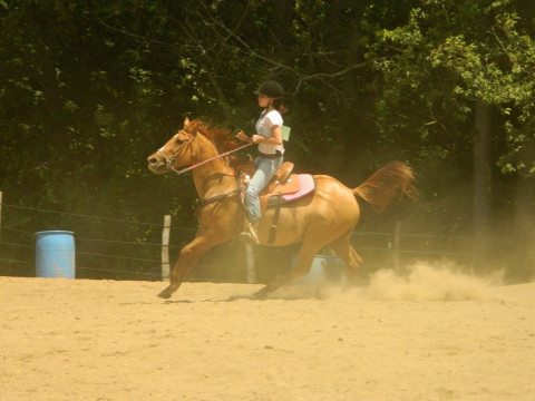 Visit Cold Brook Stables