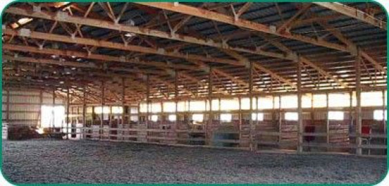 Visit Bankonit Stables